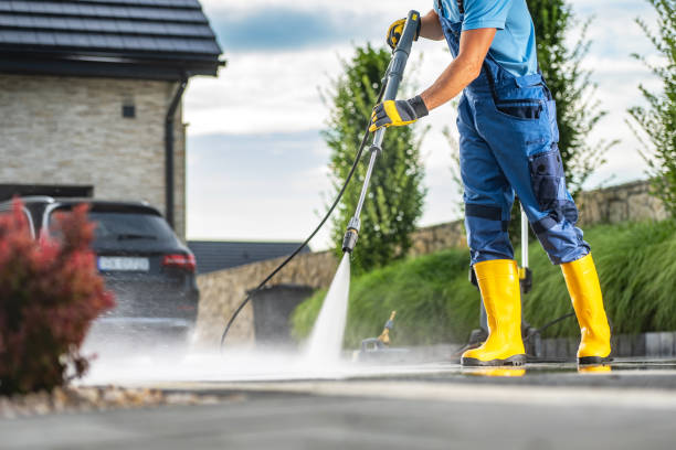 Best Solar Panel Cleaning  in Charlevoix, MI